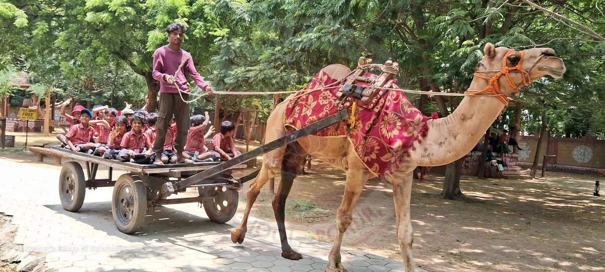 Field Trip to Chokhi Dhani